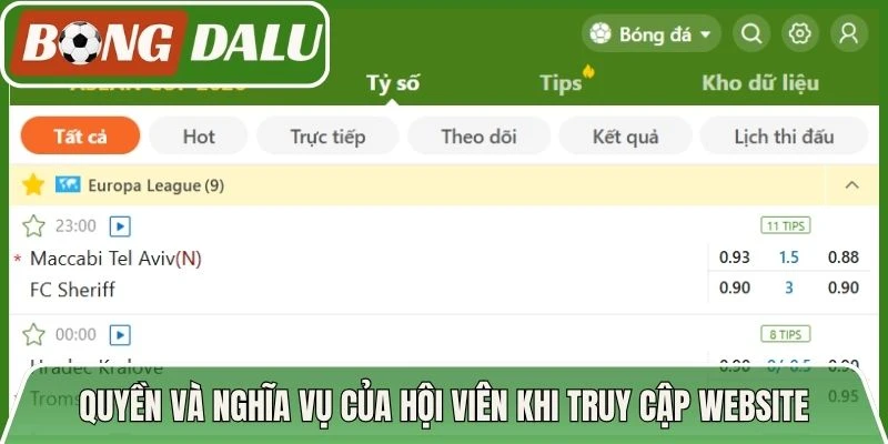 Quyền và nghĩa vụ của hội viên khi truy cập website